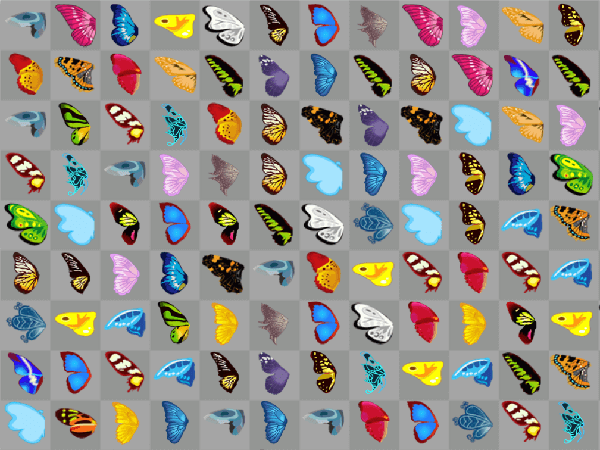 Motyl Kyodai